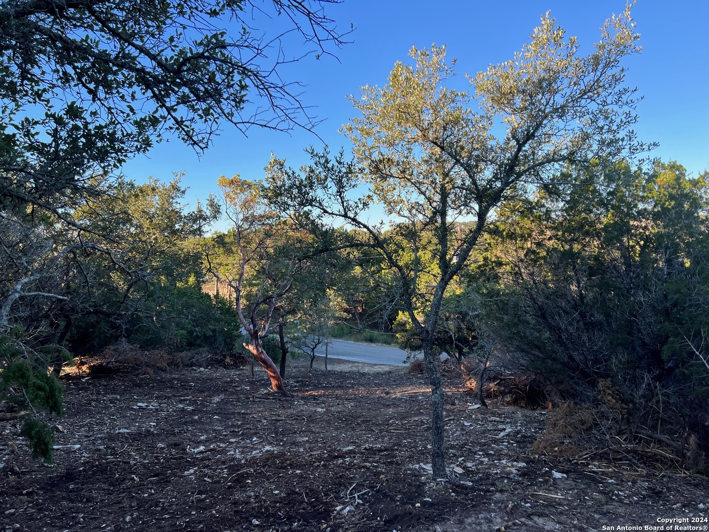 Canyon Lake, Texas 78133, United States, ,Land,Active,53361