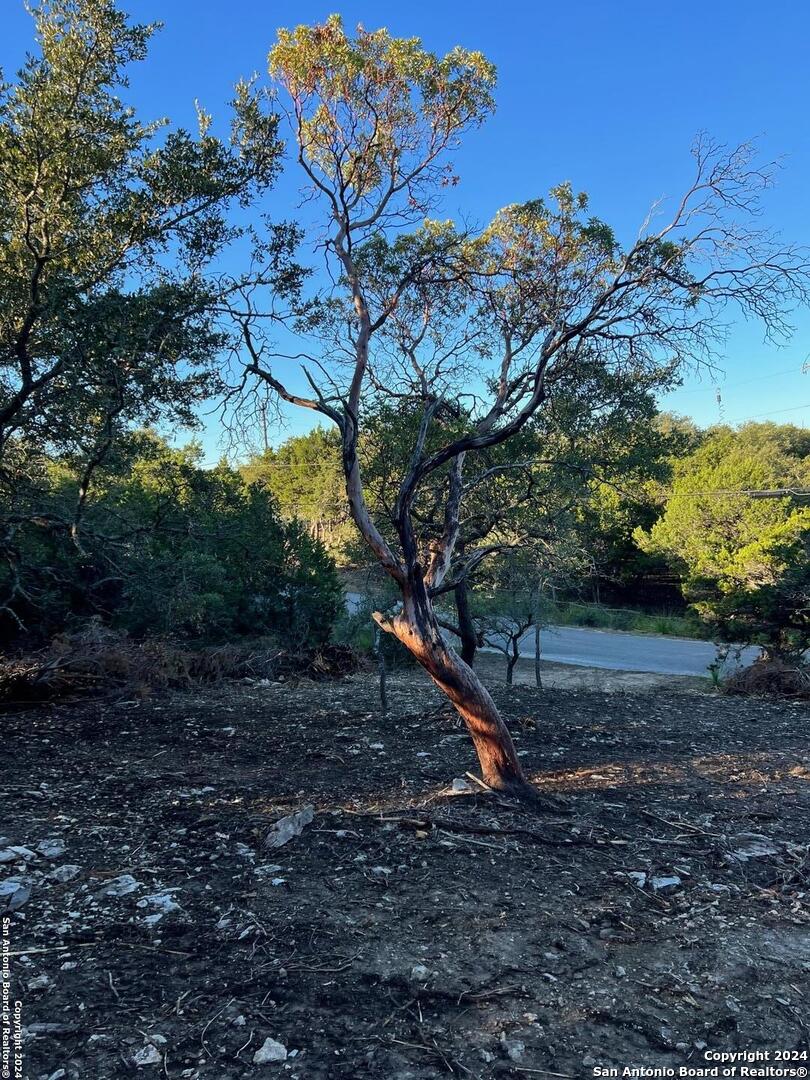 Canyon Lake, Texas 78133, United States, ,Land,Active,53361