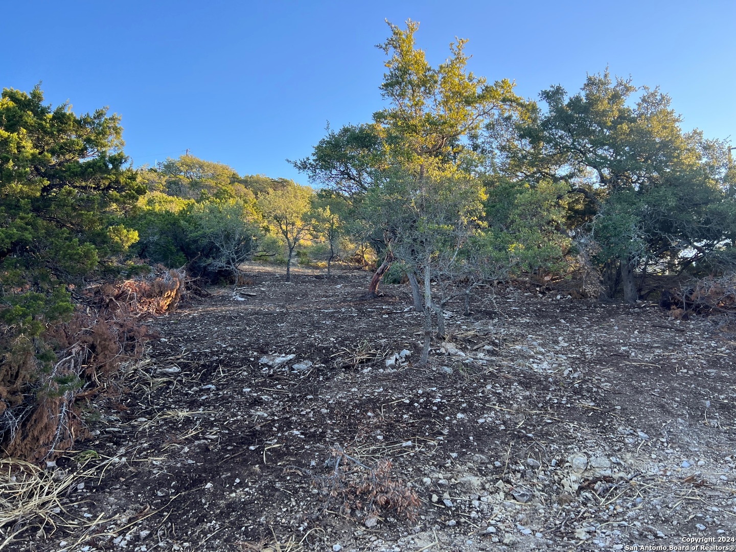 Canyon Lake, Texas 78133, United States, ,Land,Active,53361