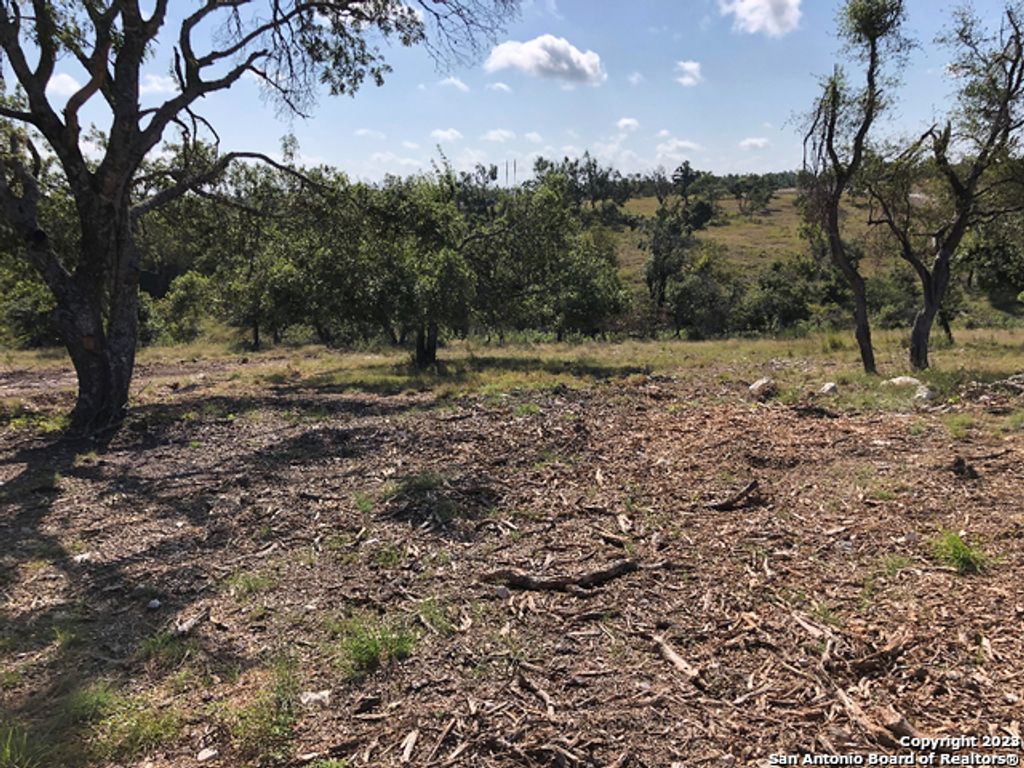 Photo of LOT 8 Longview Drive, Fredericksburg, TX 78624 (MLS # 1686490)