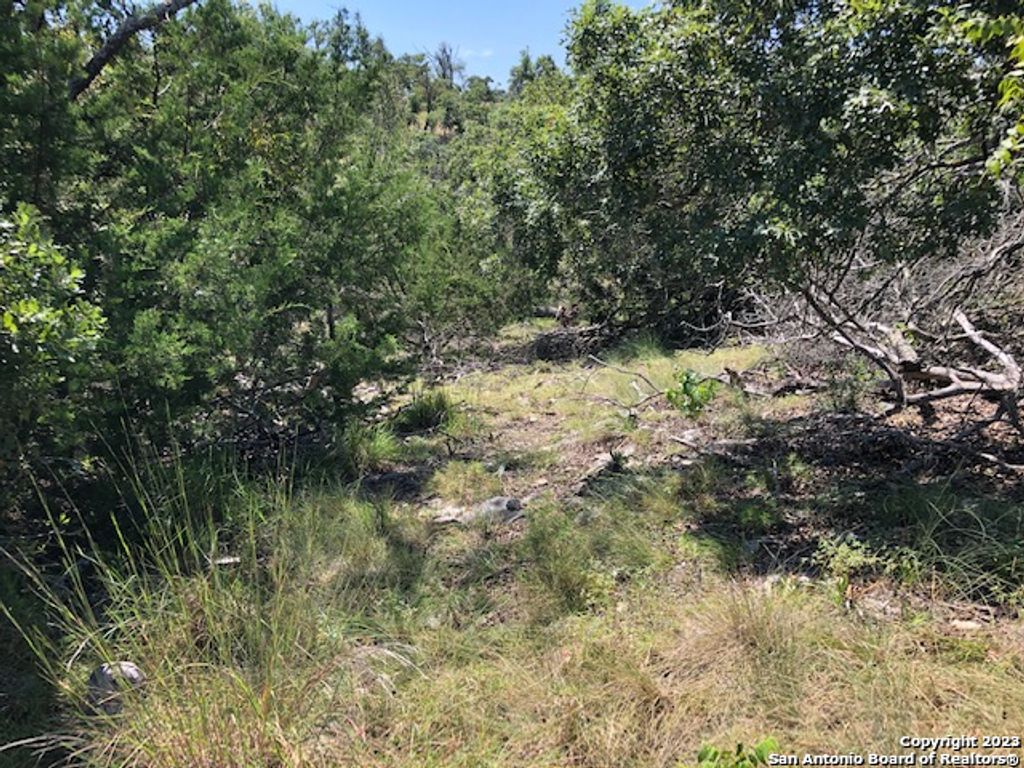 Photo of LOT 8 Longview Drive, Fredericksburg, TX 78624 (MLS # 1686490)