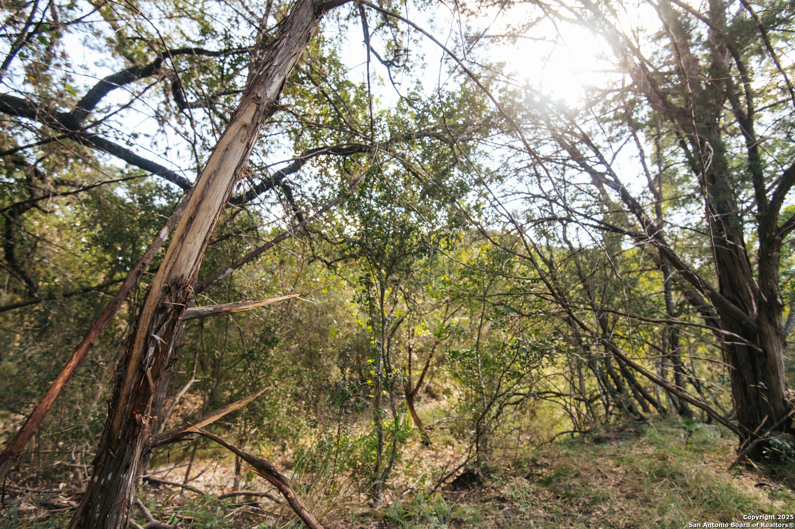 2581 Patterson Creek Road