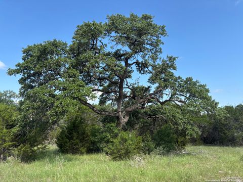 1483 Trailhead New Braunfels TX 78132