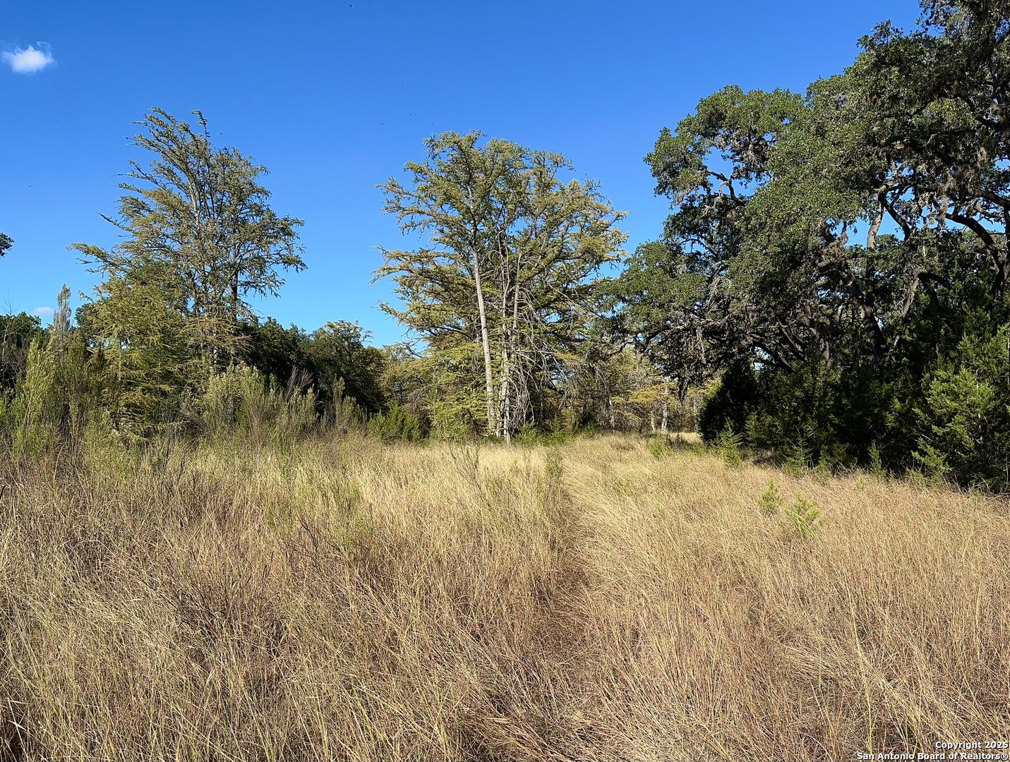 Vanderpool, Texas 78885, United States, 4 Bedrooms Bedrooms, ,3 BathroomsBathrooms,Residential,Active,230408