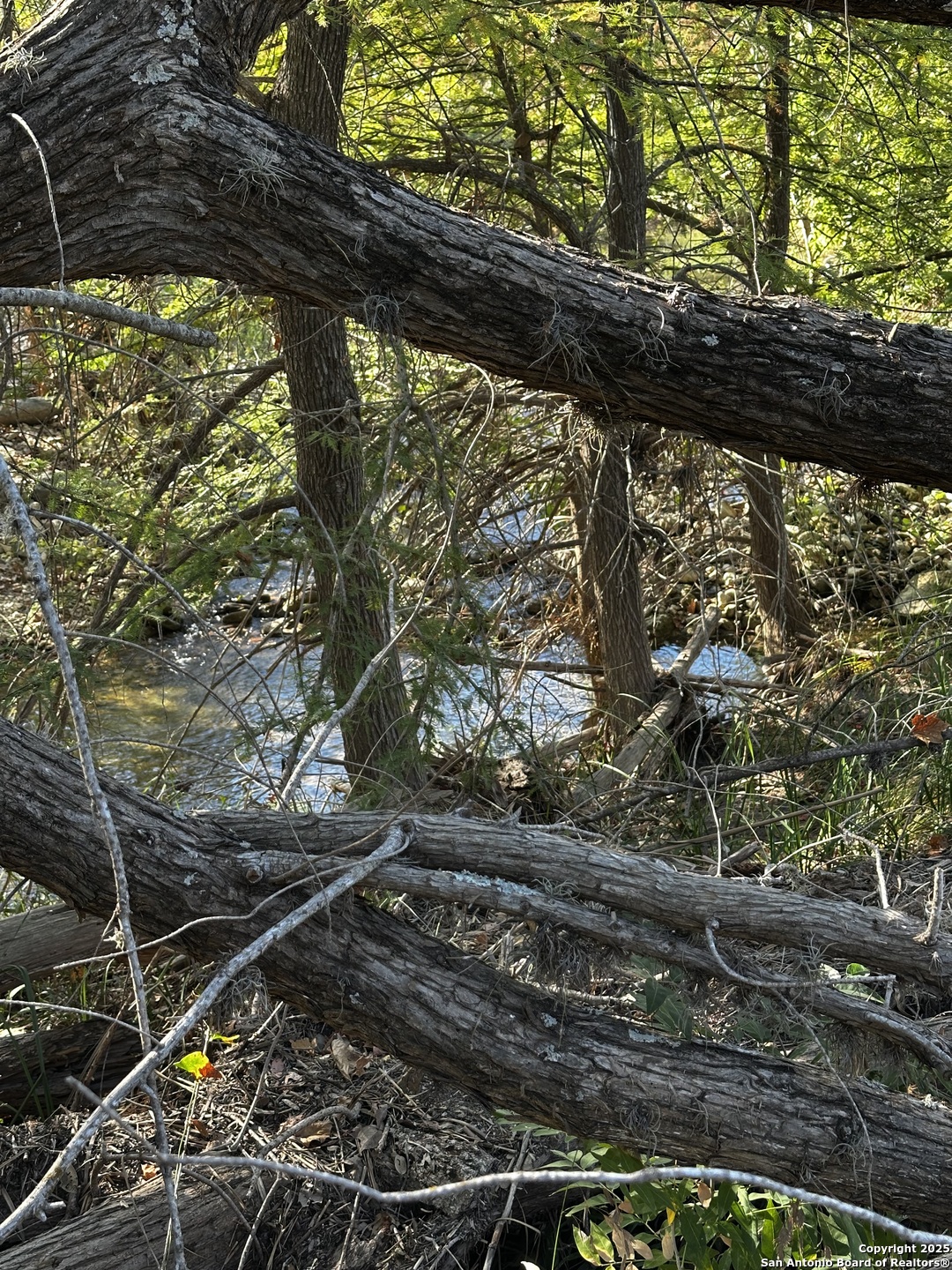 Vanderpool, Texas 78885, United States, 4 Bedrooms Bedrooms, ,3 BathroomsBathrooms,Residential,Active,230408