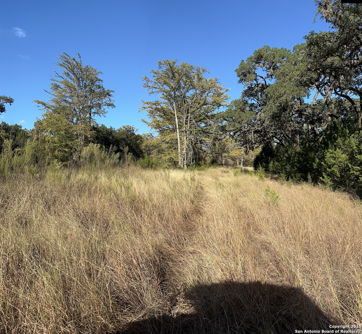 Vanderpool, Texas 78885, United States, 4 Bedrooms Bedrooms, ,3 BathroomsBathrooms,Residential,Active,230408