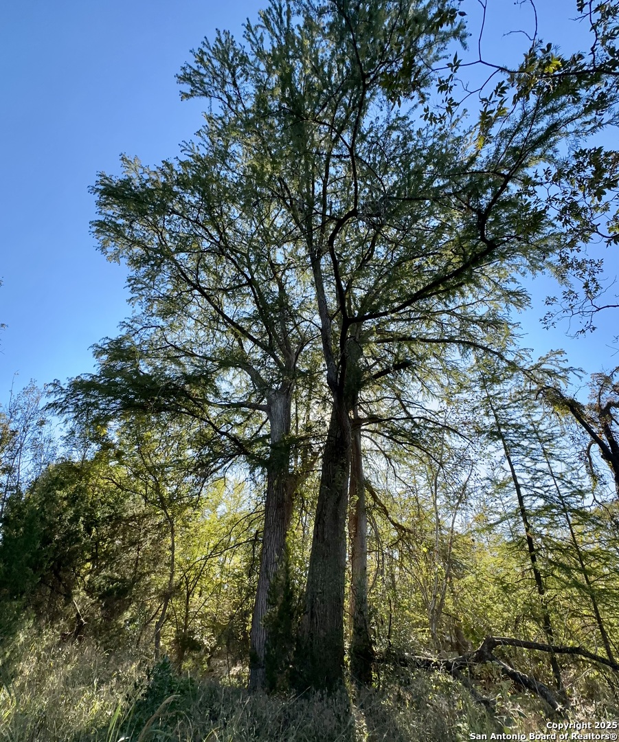 Vanderpool, Texas 78885, United States, 4 Bedrooms Bedrooms, ,3 BathroomsBathrooms,Residential,Active,230408