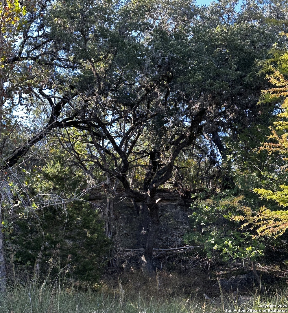 Vanderpool, Texas 78885, United States, 4 Bedrooms Bedrooms, ,3 BathroomsBathrooms,Residential,Active,230408