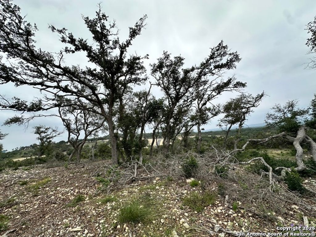 Photo of 675 Butler Oaks, Bulverde, TX 78163 (MLS # 1836660)