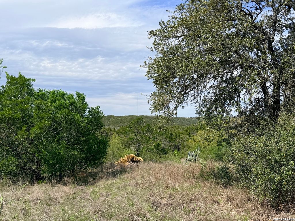 Photo of 686 County Road 2700, Mico, TX 78056 (MLS # 1958730)