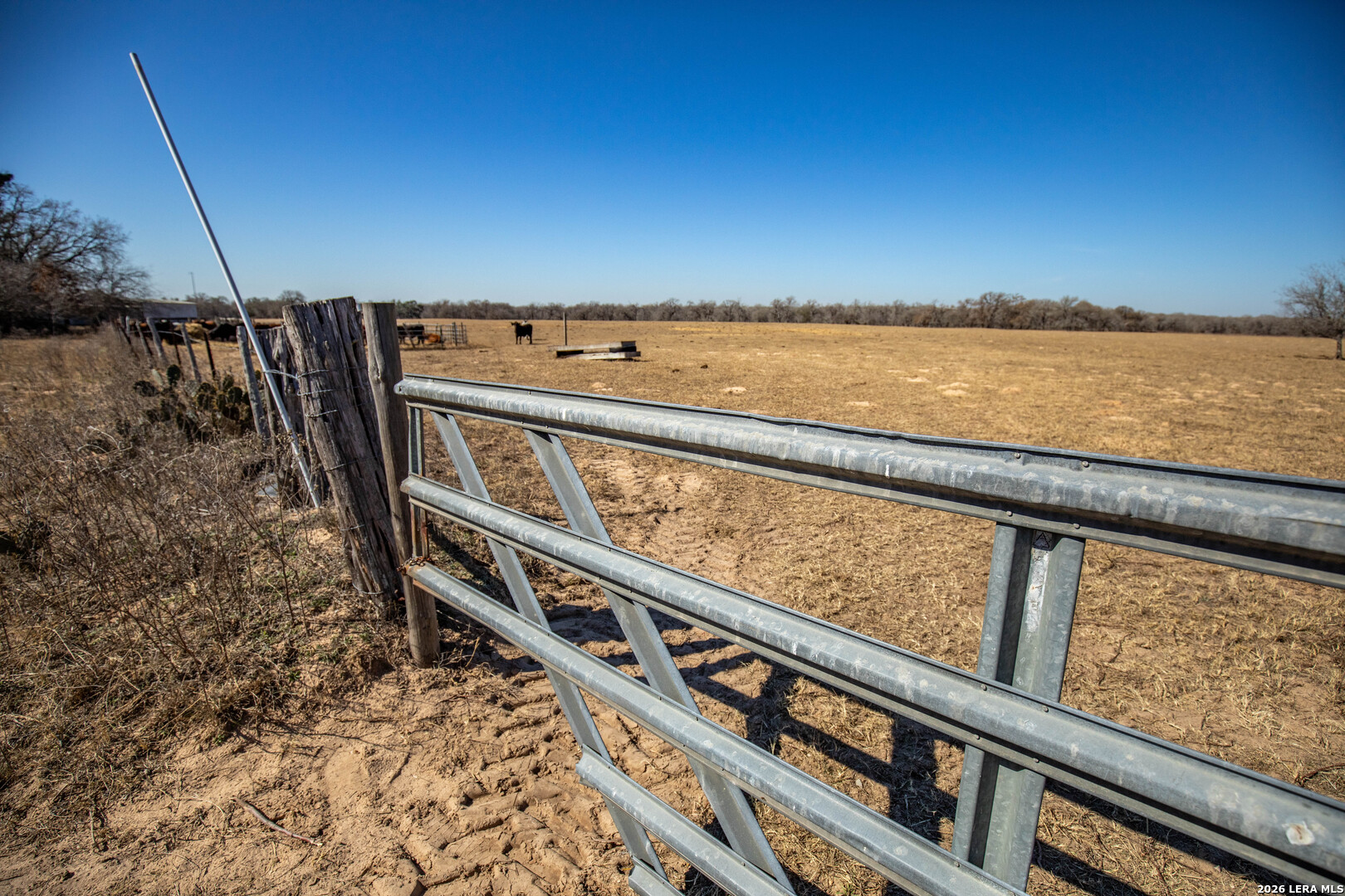 1387 County Road 304