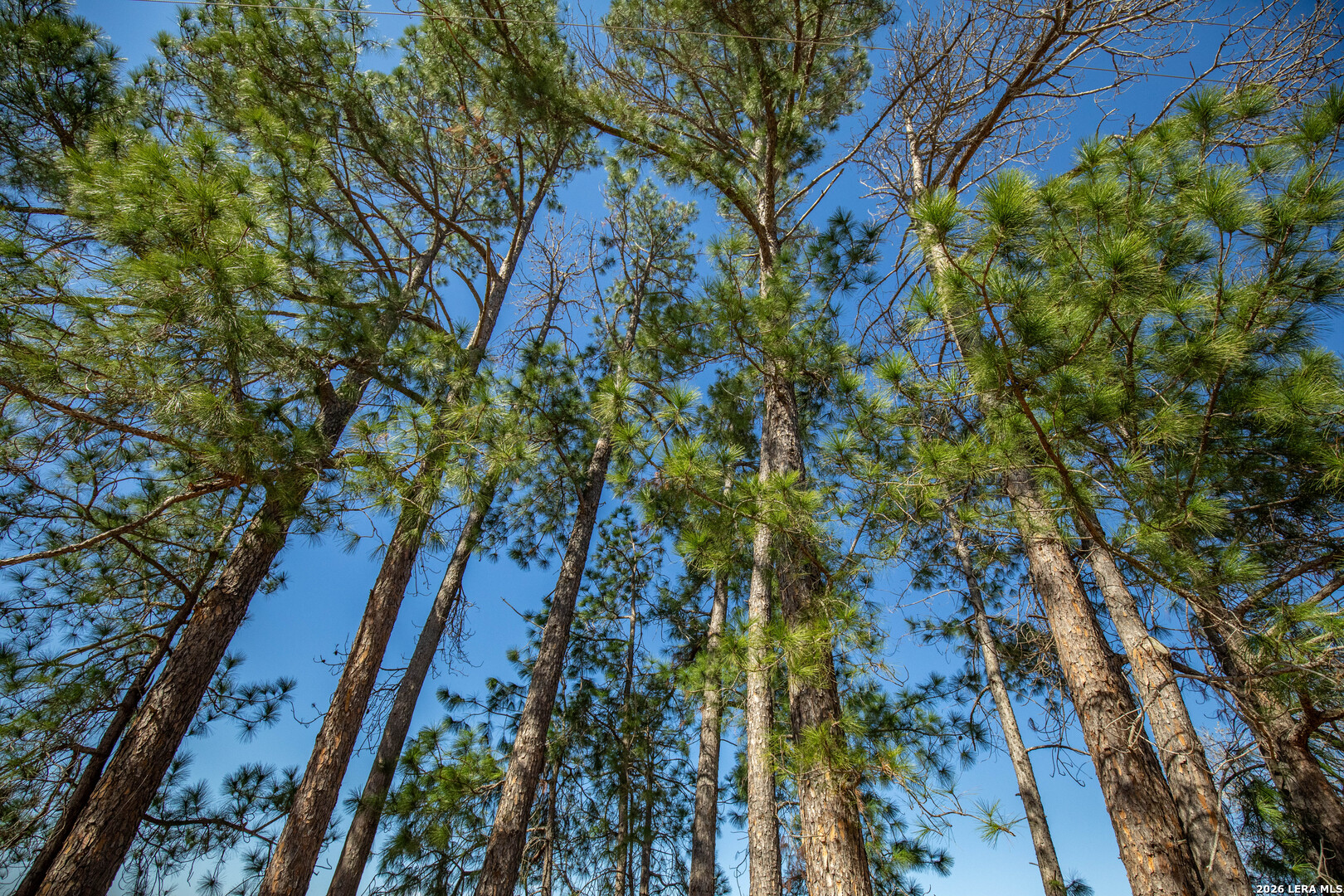 1387 County Road 304