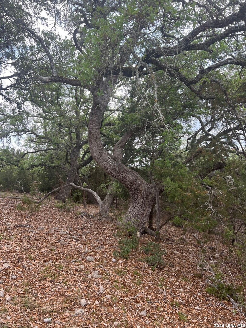 Photo of LOT 76 Sunriver, Boerne, TX 78006 (MLS # 1958000)