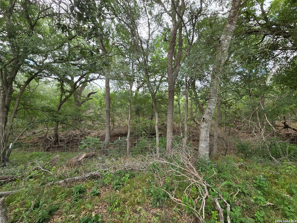 Photo of 124 ELM COUNTRY DR, La Vernia, TX 78121 (MLS # 1957754)