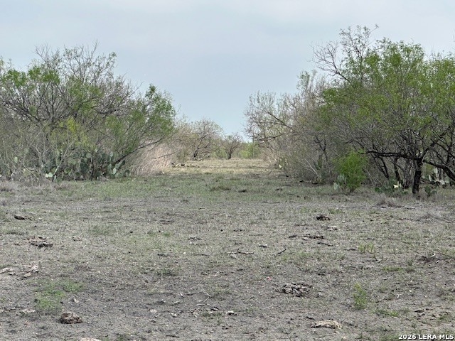306 CR 305