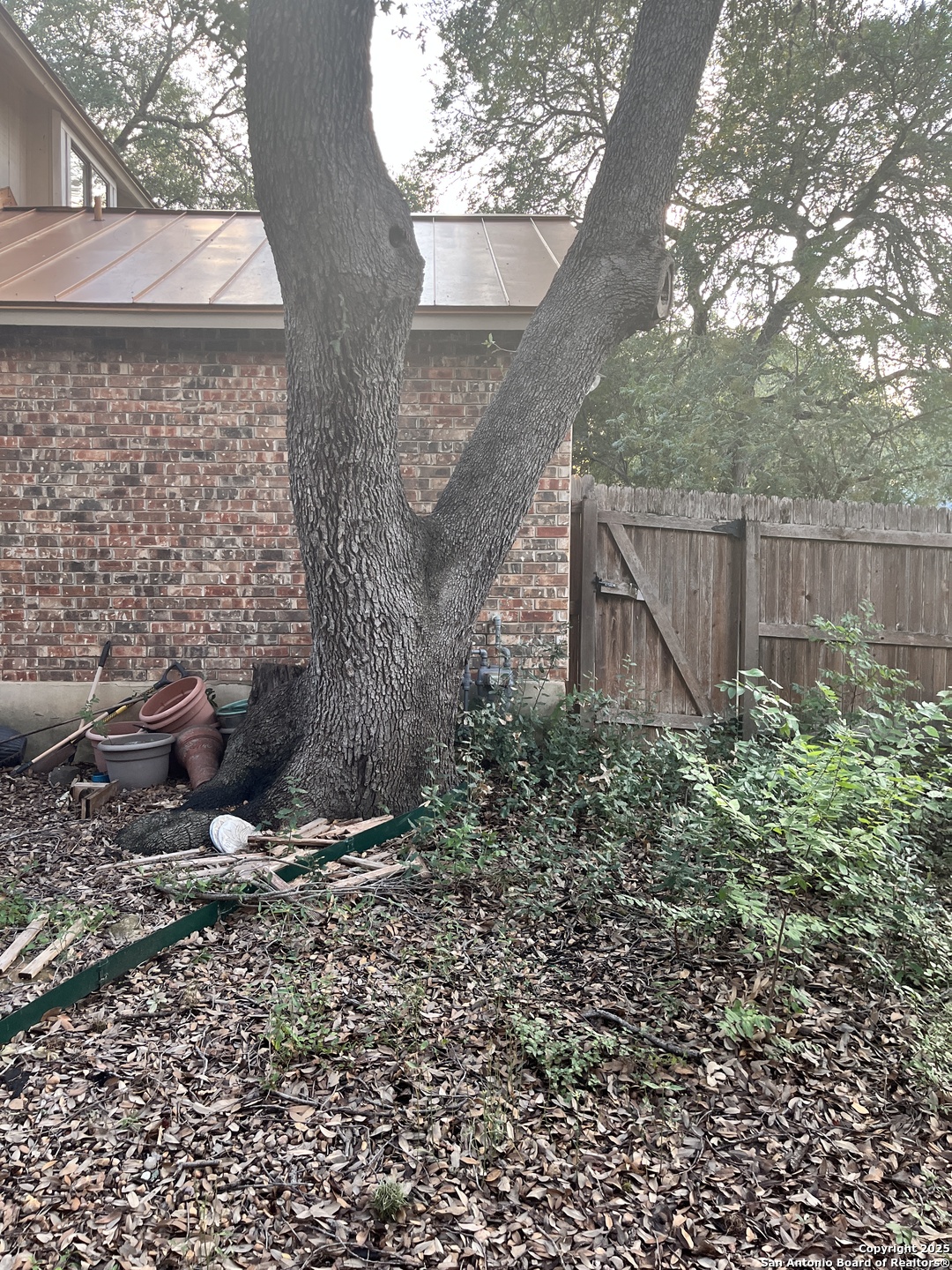 5735 Cedar