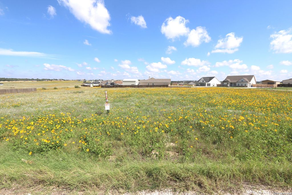 Photo of 101 Turnberry Dr, La Vernia, TX 78121 (MLS # 1946440)