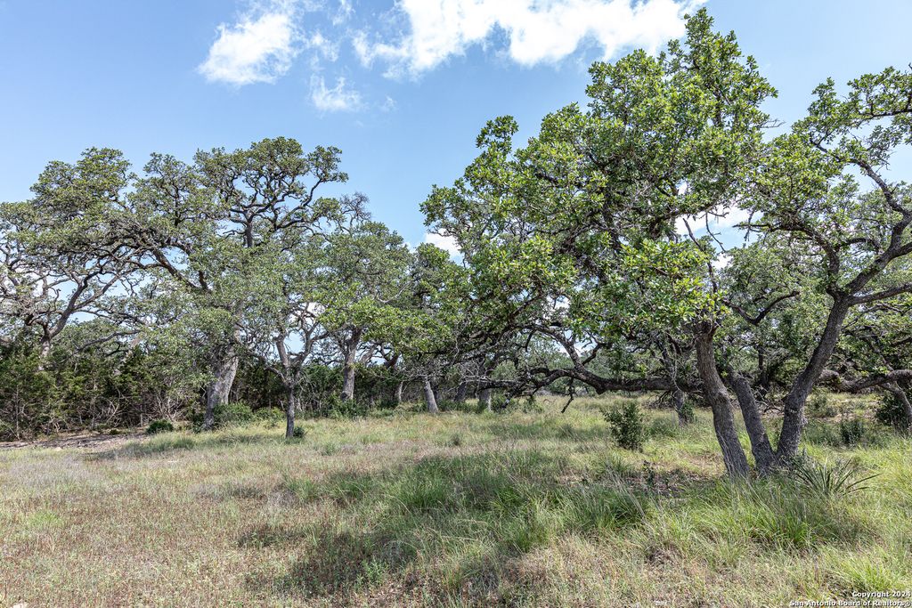 Photo of 664 ANNABELLE AVE, Bulverde, TX 78163 (MLS # 1779185)