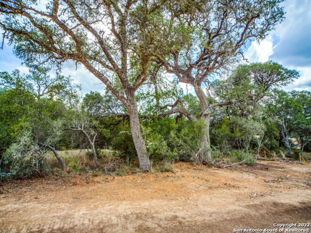 Photo of 708 Sharp Springs, Bulverde, TX 78163 (MLS # 1822832)