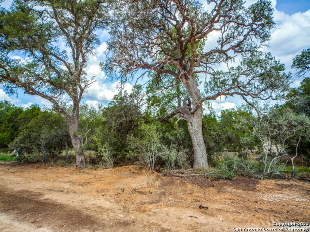 Photo of 708 Sharp Springs, Bulverde, TX 78163 (MLS # 1822832)