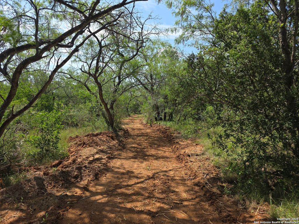 Photo of 385 Marrou Rd., Seguin, TX 78155 (MLS # 1876537)