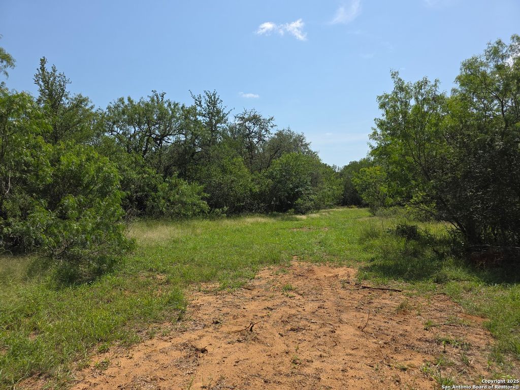 Photo of 385 Marrou Rd., Seguin, TX 78155 (MLS # 1876537)