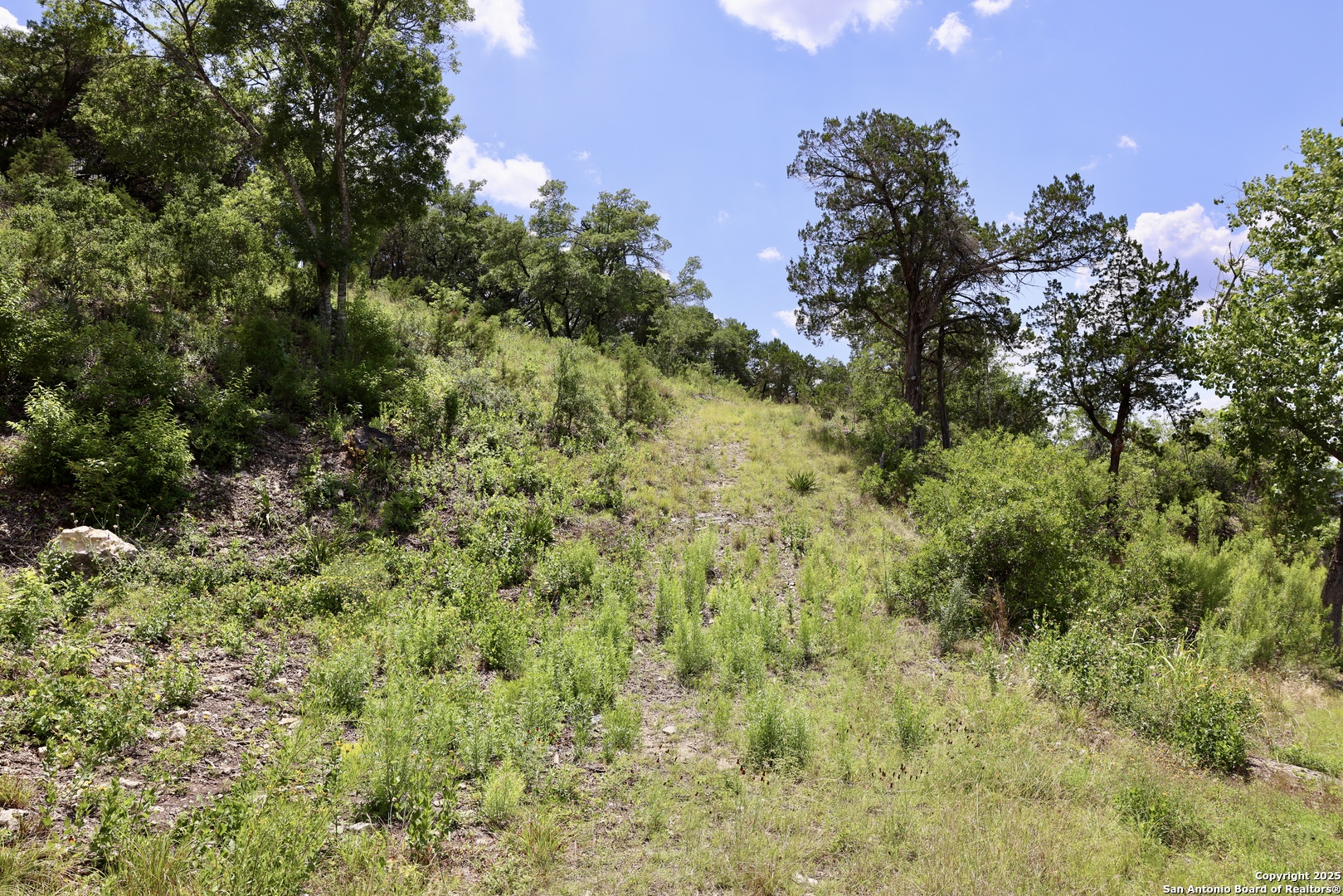 25207 rocky hill