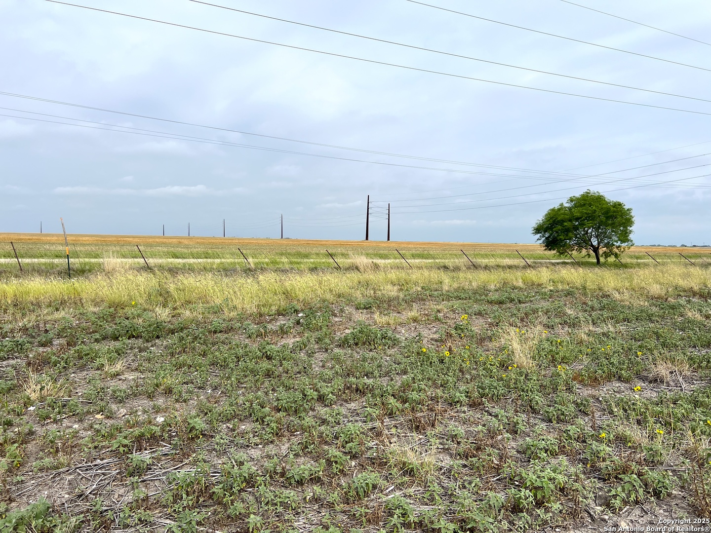 2541 county road 512