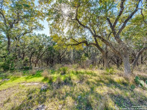 223 Lakeview Spring Branch TX 78070