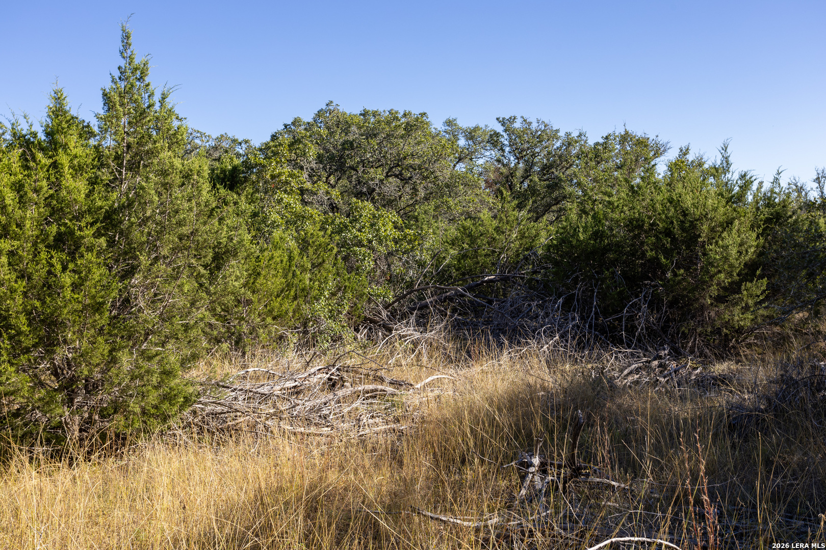 BLOCK 1, LOT 20 Standing Tall