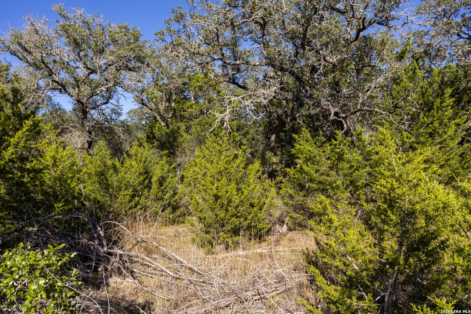 BLOCK 1, LOT 20 Standing Tall