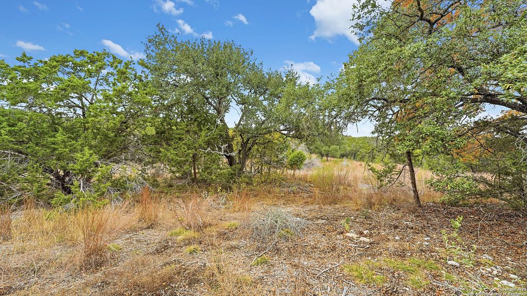 Photo of 833 Bell Canyon Way, Bulverde, TX 78163 (MLS # 1929380)