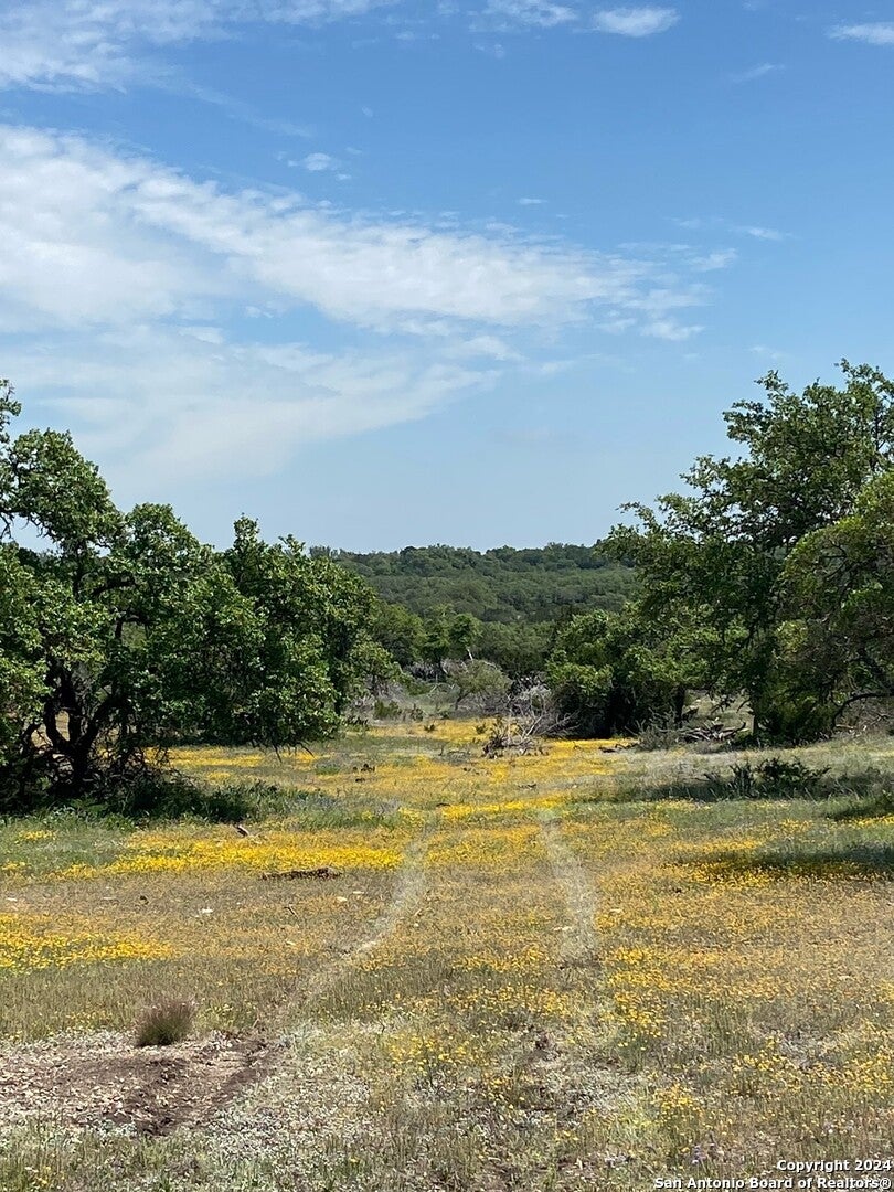 Photo of TBD TAURUS LN Taurus, Junction, TX 76849 (MLS # 1804773)