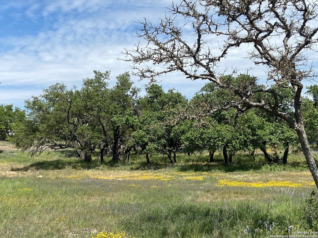 Photo of TBD TAURUS LN Taurus, Junction, TX 76849 (MLS # 1804773)