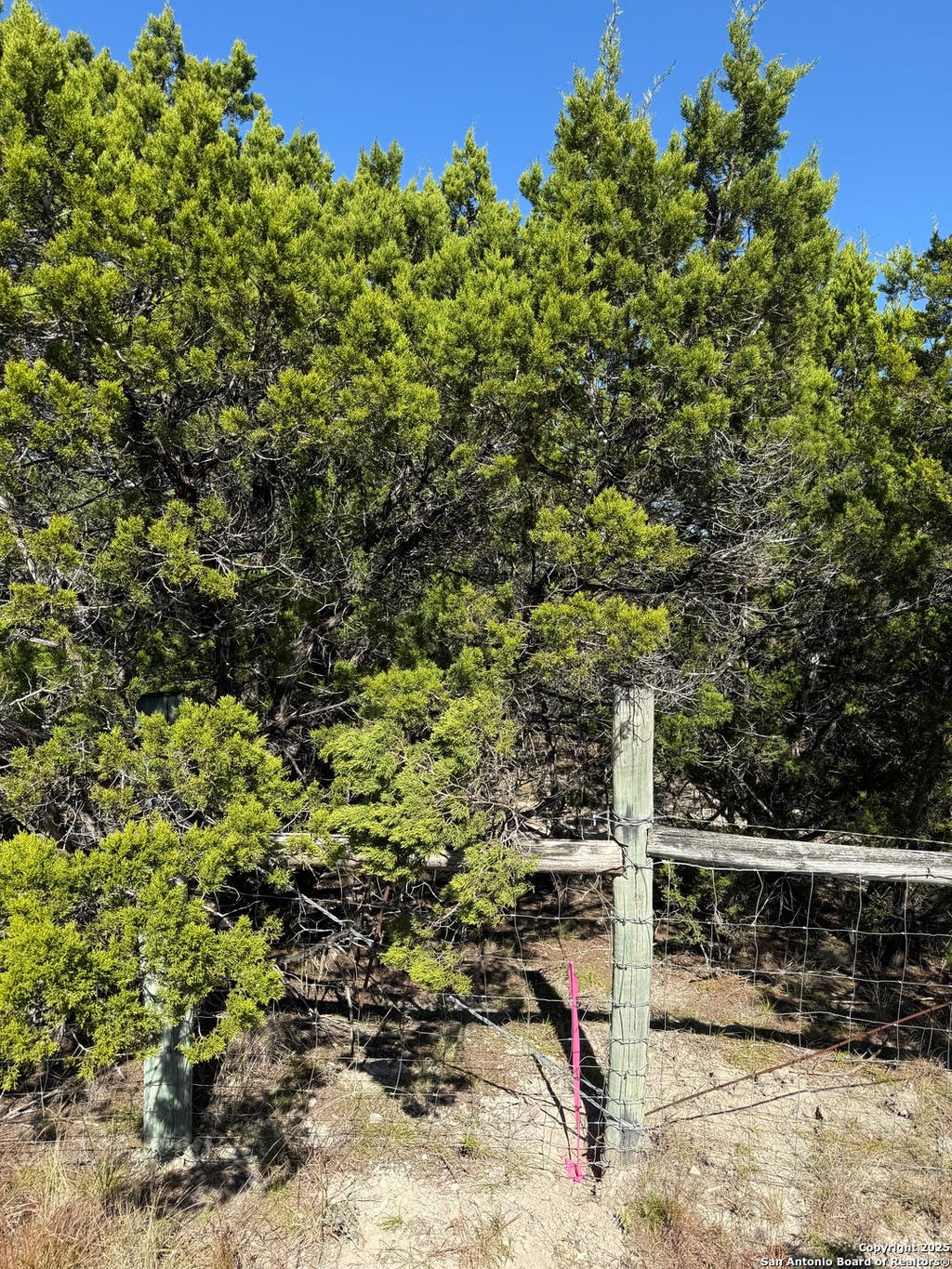 Photo of LT 391 Forest Trail Drive, Bandera, TX 78003 (MLS # 1921486)