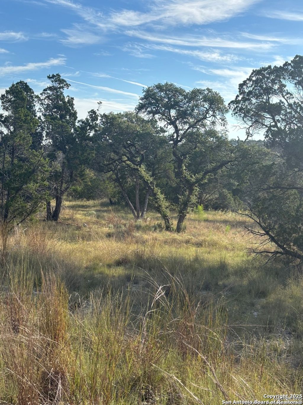 Photo of 378 Cloudveil, New Braunfels, TX 78132 (MLS # 1920523)