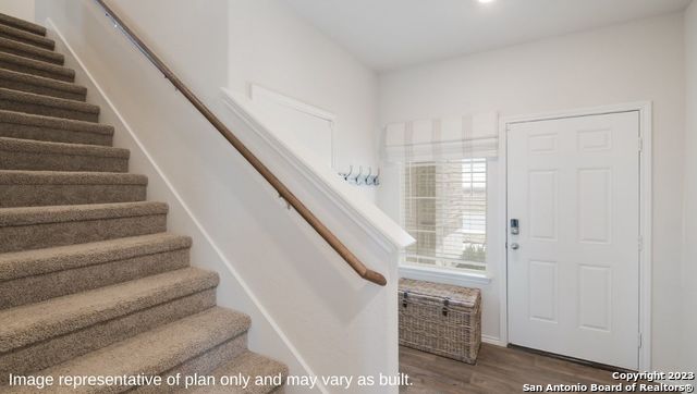 1534 Champagne Oak