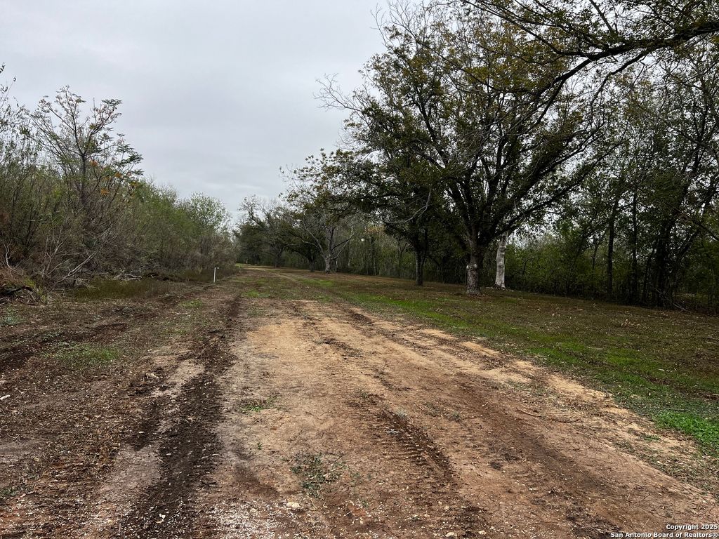 Photo of 304 county Rd 6611 Tract #1, Devine, TX 78016 (MLS # 1926126)