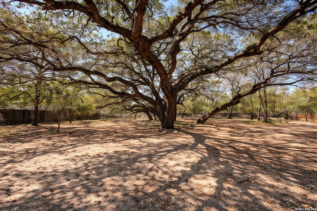 Photo of 1723 Medina Circle, San Antonio, TX 78264 (MLS # 1958315)