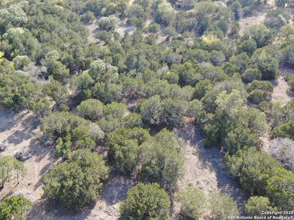 Photo of TBD Saddle, Bandera, TX 78003 (MLS # 1930319)