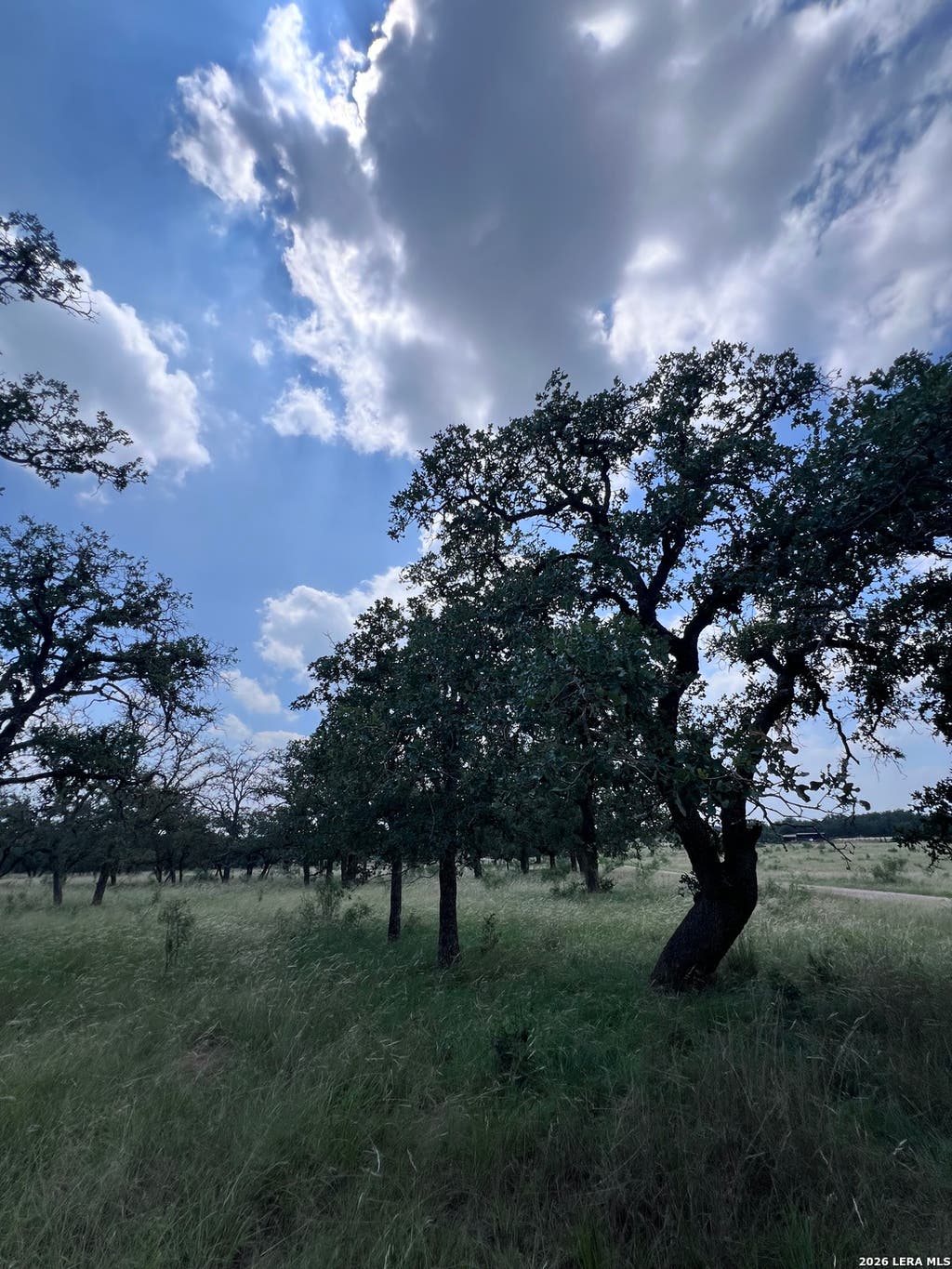 Photo of 0 Hollmig, Fredericksburg, TX 78624 (MLS # 1994556)