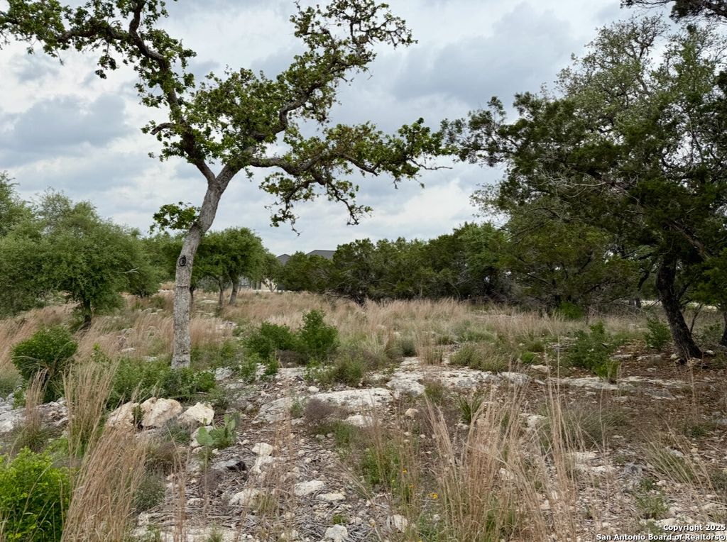 Photo of 1869 Paradise Pkwy, Canyon Lake, TX 78133 (MLS # 1910348)