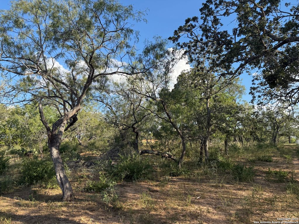 Photo of 421 Zion Hill, Seguin, TX 78155 (MLS # 1891824)