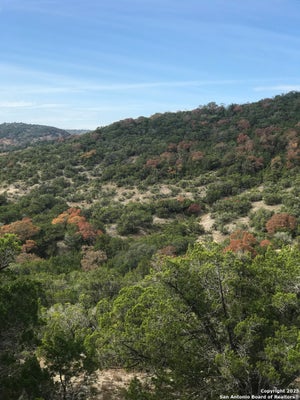 424 SIERRA VIS, TARPLEY, TX 78883 - Image 2fd9929ff13718a8c25c4ca159a00a55/3988397338