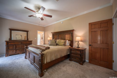 Tiny photo for 119 PRIVATE ROAD 1738, Mico, TX 78056 (MLS # 1995197)