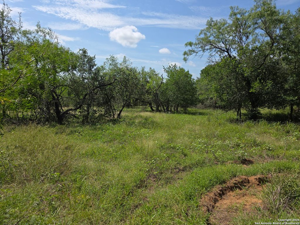 Photo of 485 Marrou Rd., Seguin, TX 78155 (MLS # 1876539)