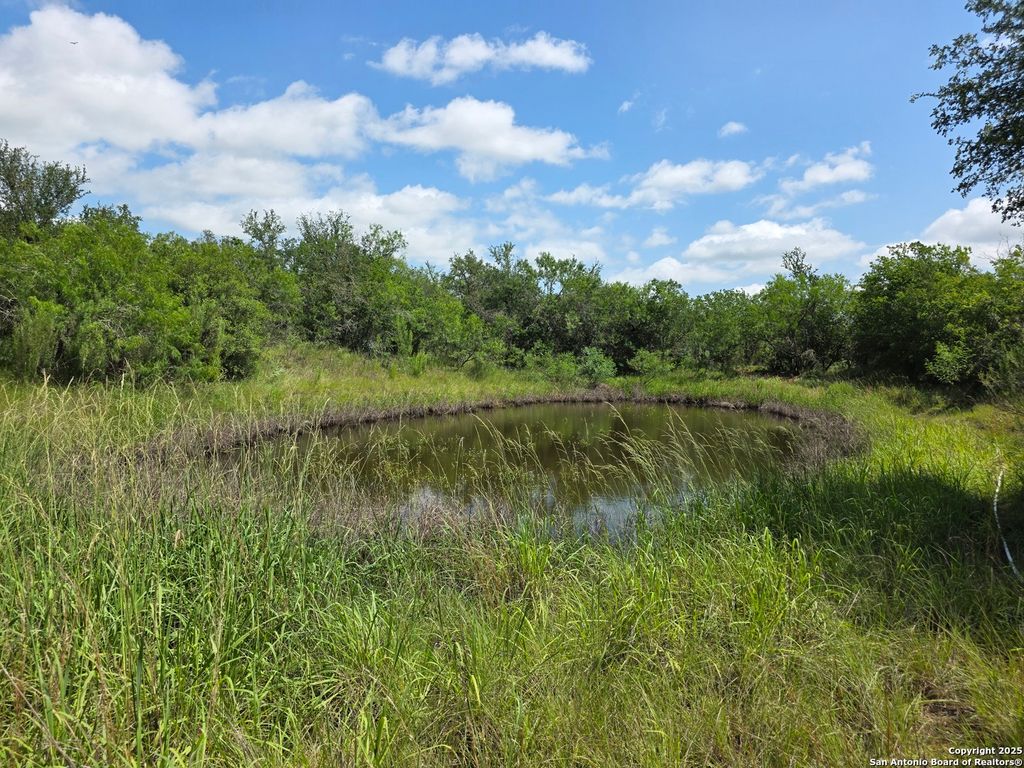 Photo of 485 Marrou Rd., Seguin, TX 78155 (MLS # 1876539)
