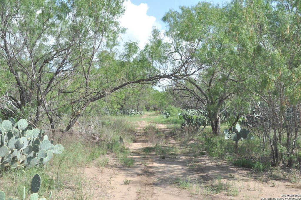 Photo of TBD CR 662, Devine, TX 78016 (MLS # 1874344)