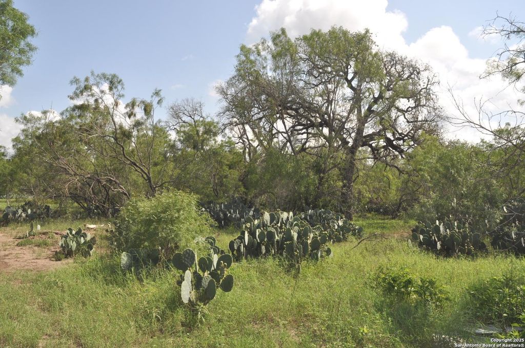 Photo of TBD CR 662, Devine, TX 78016 (MLS # 1874344)