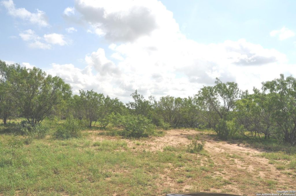 Photo of TBD CR 662, Devine, TX 78016 (MLS # 1874344)